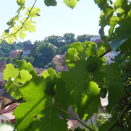 Hotel Schlossberg Meißen Dış mekan fotoğraf